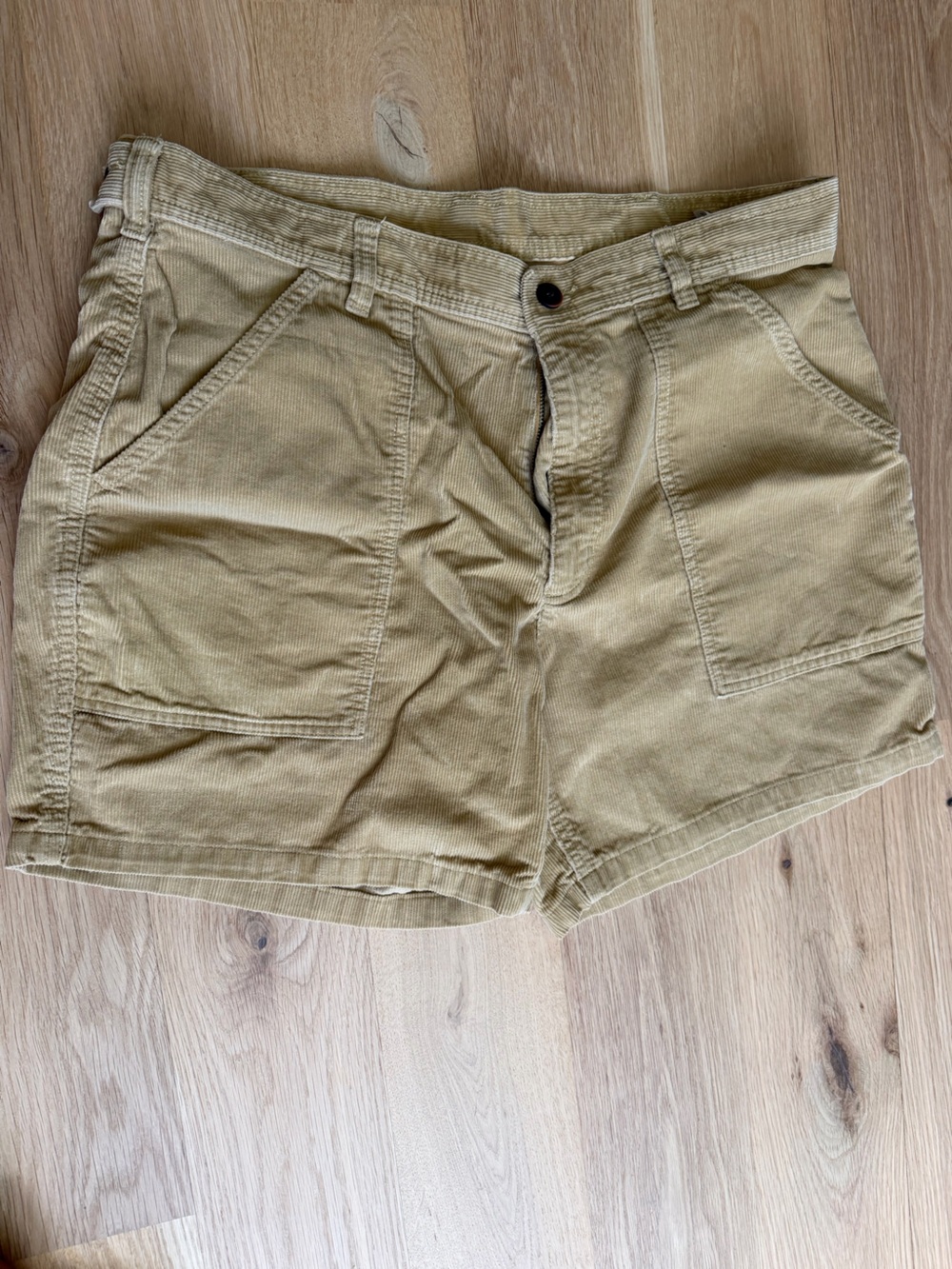 Patagonia Beige Corduroy Shorts